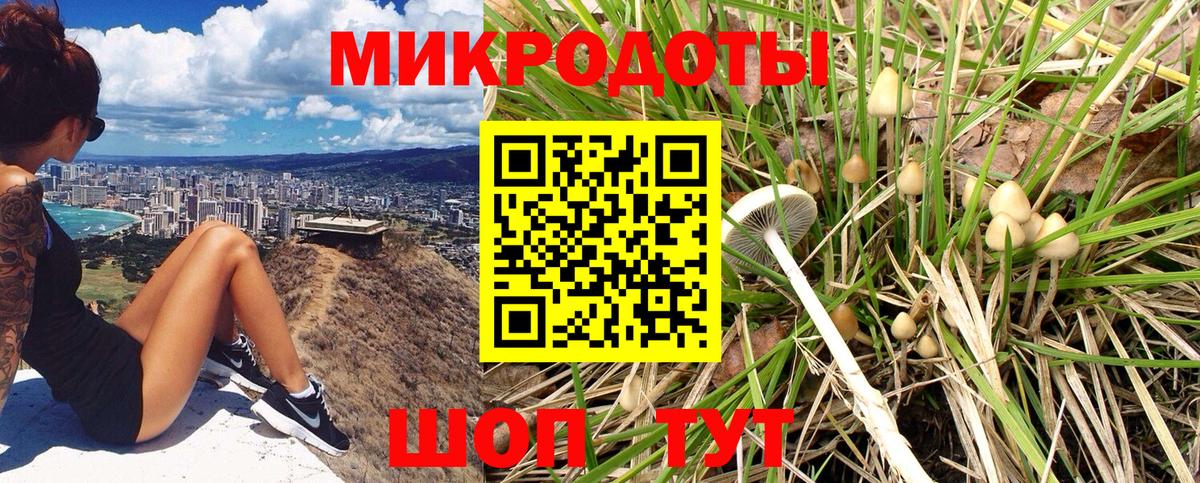 Псилоцибиновые грибы MAGIC MUSHROOMS  Галлюциногенные грибы мухоморы  Вход с VPN  купить наркоту  Златоуст 